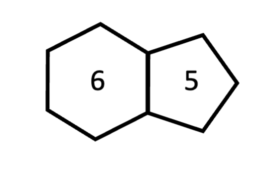 <p>2-ring structure: 1 6-member ring, 1 5-member ring; <strong><u>adenine</u></strong> and <strong><u>guanine</u></strong></p>