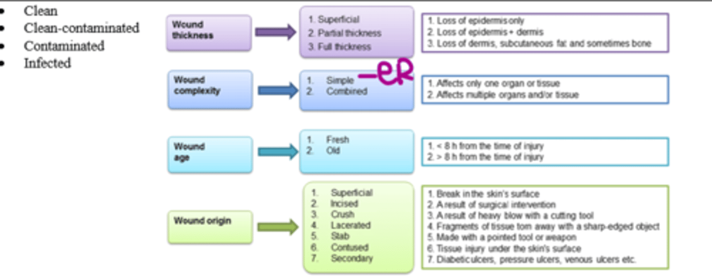 <p>1. Thickness (superficial vs. partial vs. full)</p><p>2. Complexity (simple vs. combined)</p><p>3. Age (fresh vs. old)</p><p>4. Origin (MOI)</p><p>5. Clean (vs. Clean-contam. vs. Contaminated vs. Infected)</p>