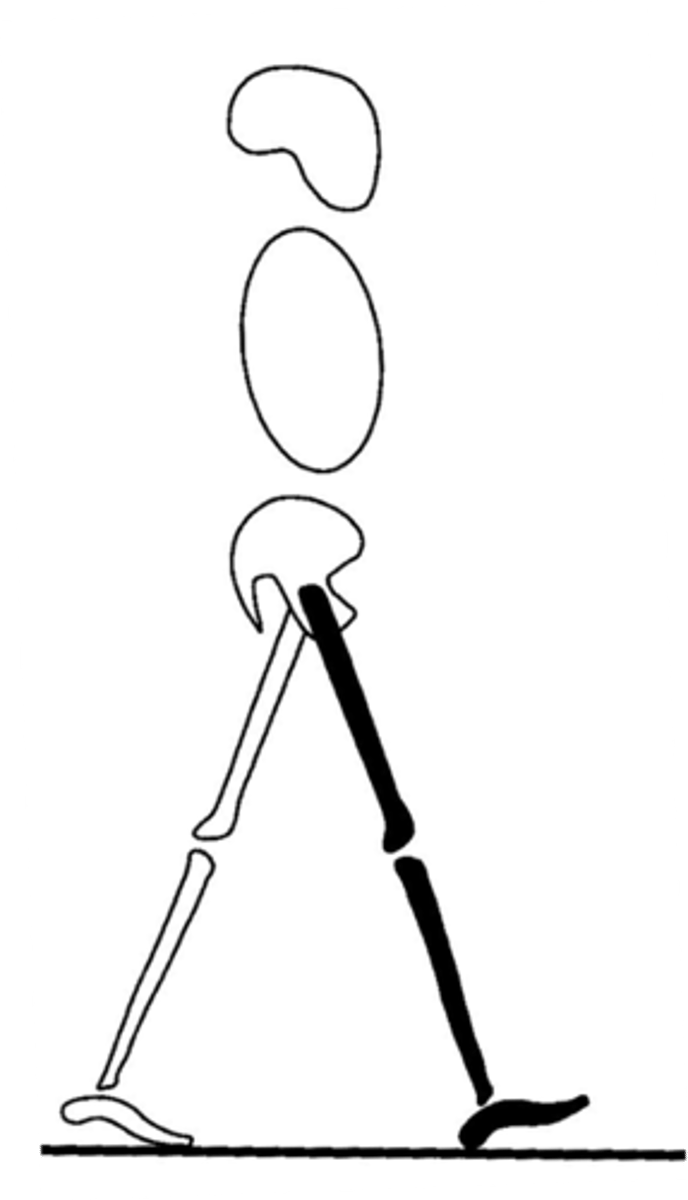 <p>moment when heel contacts/strikes the ground</p>