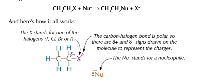 <p>the mechanism for halogenoalkanes</p>