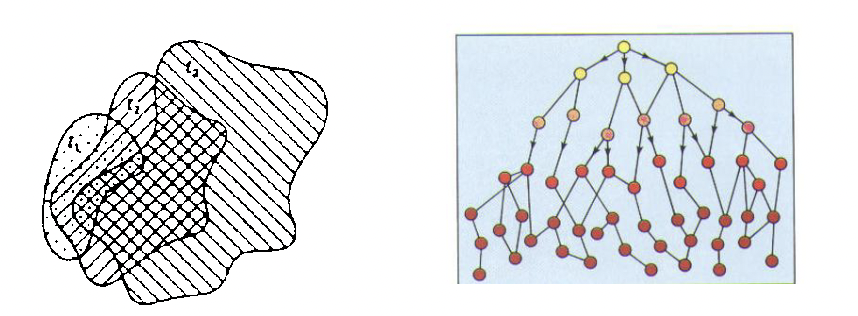 <p>The diagram below how the two processes of expansion and relocation may be combined</p><ul><li><p>the vector/ means in which the disease travels is important (intensity of virus)</p></li><li><p>level of immunity is also important</p></li></ul><p></p>
