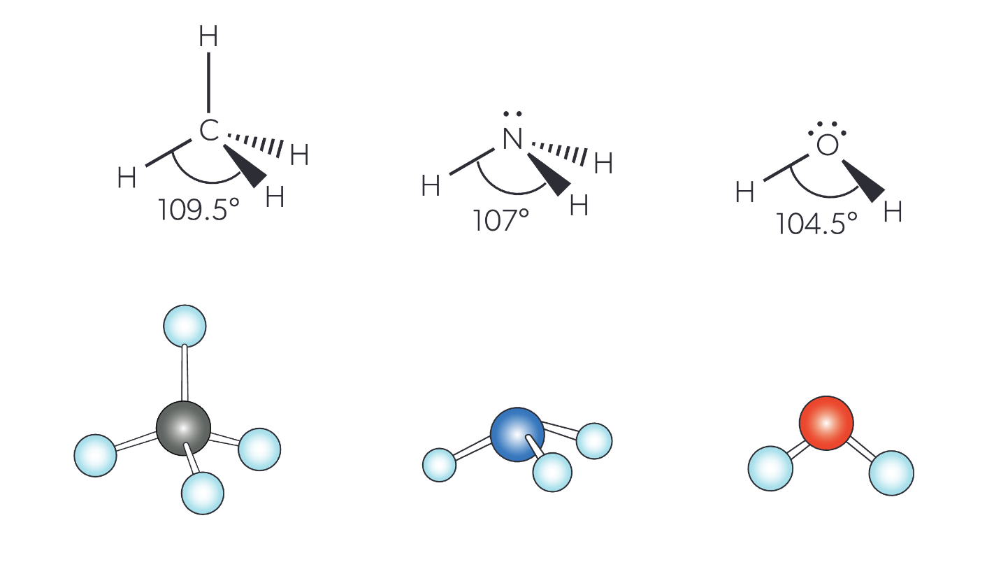 <p><strong>tetrahedral electron geometry</strong></p><p>however the bond angle is dependent on the # lone pairs:</p><p>0 lone pairs = 109.5°</p><p>1 lone pair = 107°</p><p>2 lone pairs = 104.5°</p>
