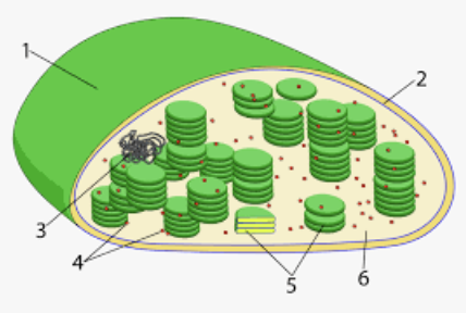 <p>what is number 3</p>