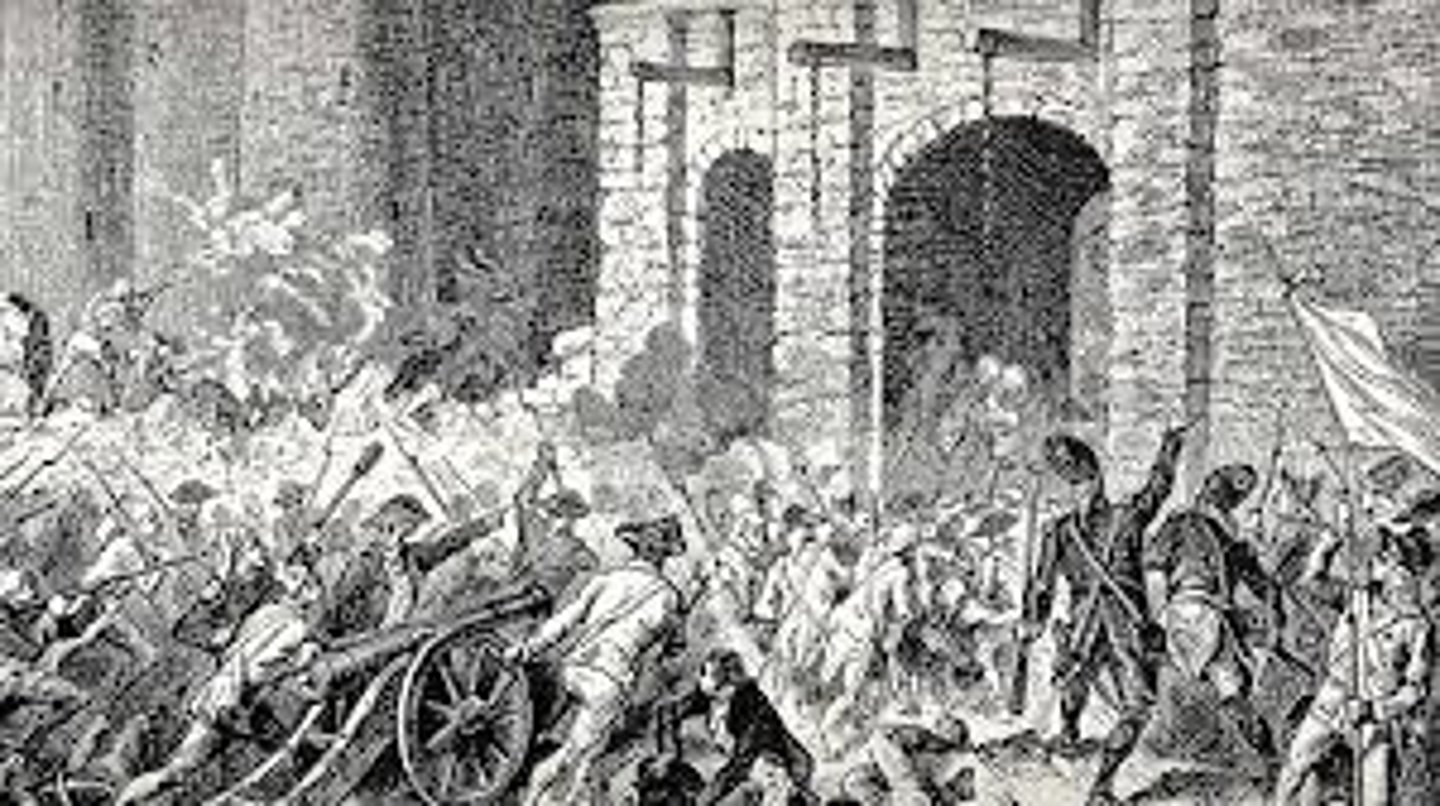 <p>un soulèvement (riot, uprising)</p>