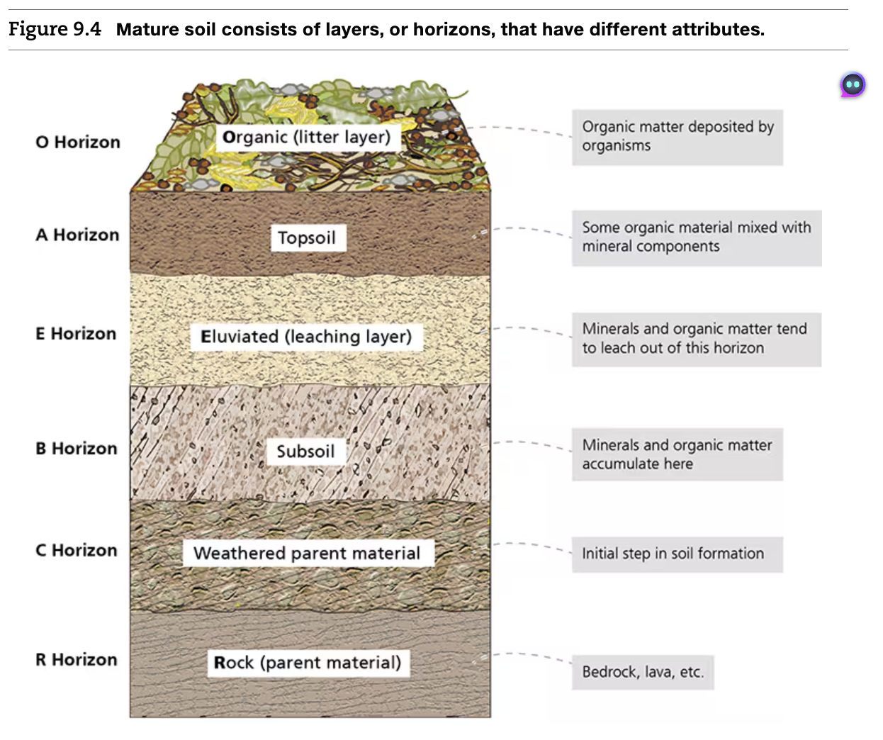 <p><strong>O</strong>nly <strong>A</strong>pes <strong>E</strong>at <strong>B</strong>read <strong>C</strong>rumbs</p>