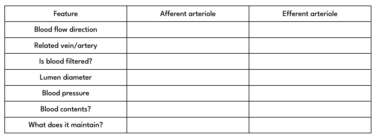 Fill in the blanks on this table (top → bottom and left → right)