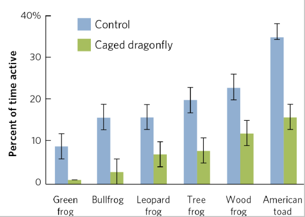 <p><span><span>Ex.</span></span><span style="background-color: transparent;"><span> Dragonflies (predator) and Tadpoles (prey)</span></span></p><ul><li><p><span style="background-color: transparent;"><span>Control- tadpoles without dragonfly present</span></span></p></li><li><p><span style="background-color: transparent;"><span>Dragonfly caged- unable to eat tadpoles, tadpoles knew dragonfly was present, tadpoles decreased activity</span></span></p></li></ul><p></p>