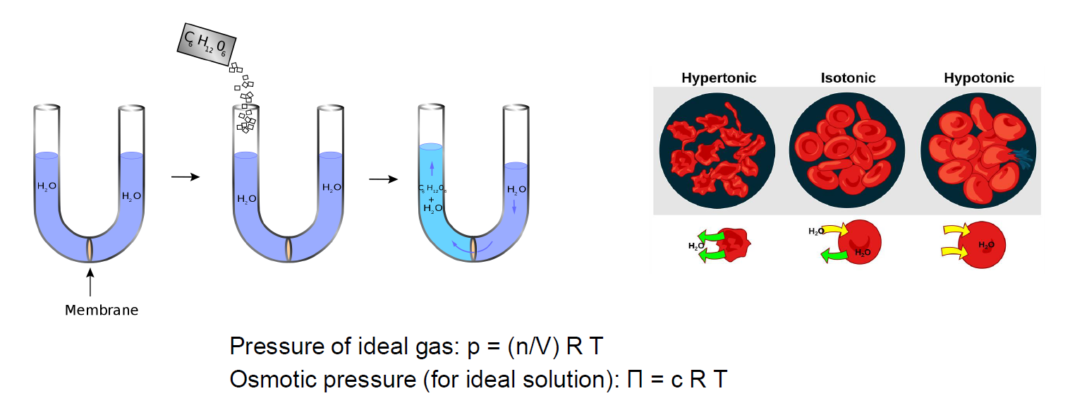 <p>is the pressure required to prevent the flow of water across a semipermeable membrane due to solute concentration differences.</p><p><span>Π = c R T</span></p>