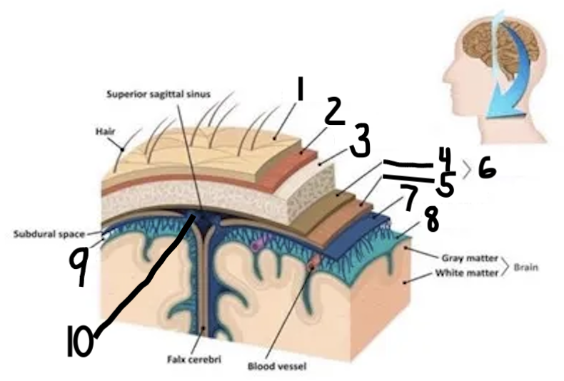 <p>1</p>