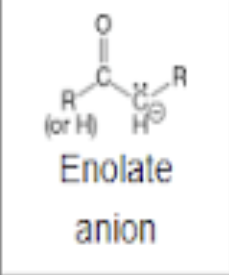 <p>Enolate anion</p>
