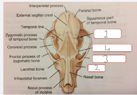 <p>Label this image</p>