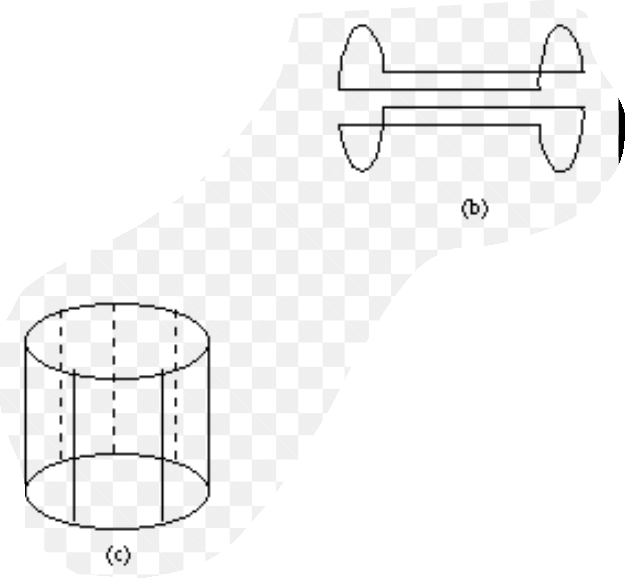 <p>Birdcage Coil: cylindrical coil with longitudinal rungs connected by end rings. Produces a homogenous B1 field inside the cylinder, commonly used for head, wrist, or body imaging as a volume coil</p><p>Saddle Coil: two curved coils shaped like a saddle on opposite sides of the target. Generates a linearly polarized B1 field, less homogenous than the bird cage. Often used for small animal imaging or localized Tx/Rx</p>