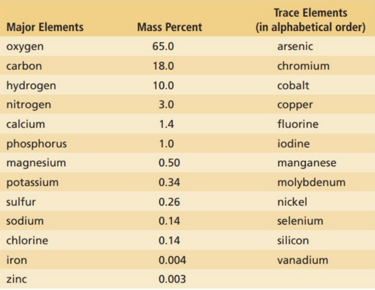 oxygen aswell makes up most of the human body