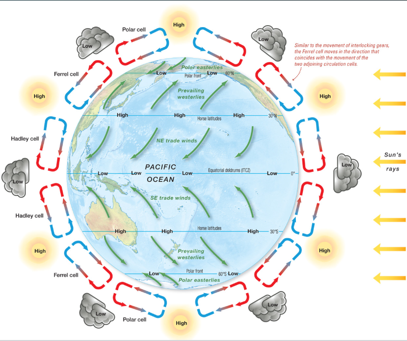 * Hadley Cell 0-30 degrees latitude (strongest)
* Ferrel Cell 30-60 degrees latitude
* Polar Cell 60-90 degrees latitude
  * same in both hemispheres (6 total cells)
  * Rising and descending air from cells generates high and low pressure zones