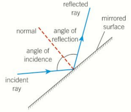 <p>The light waves remain in the original medium (the air). We represent the path taken by the light wave as a ray. The ray shows the direction of energy transfer and so the path taken by the wave.</p>