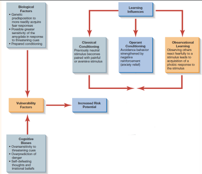 Integrated Model of the Theoretical Perspective on Phobias