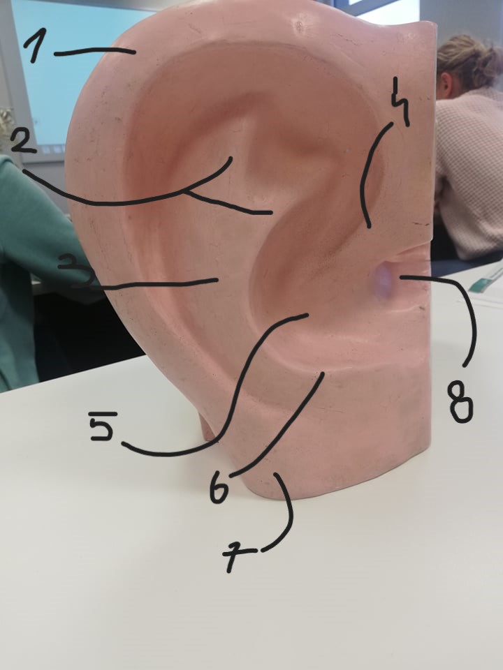 <p>5</p>