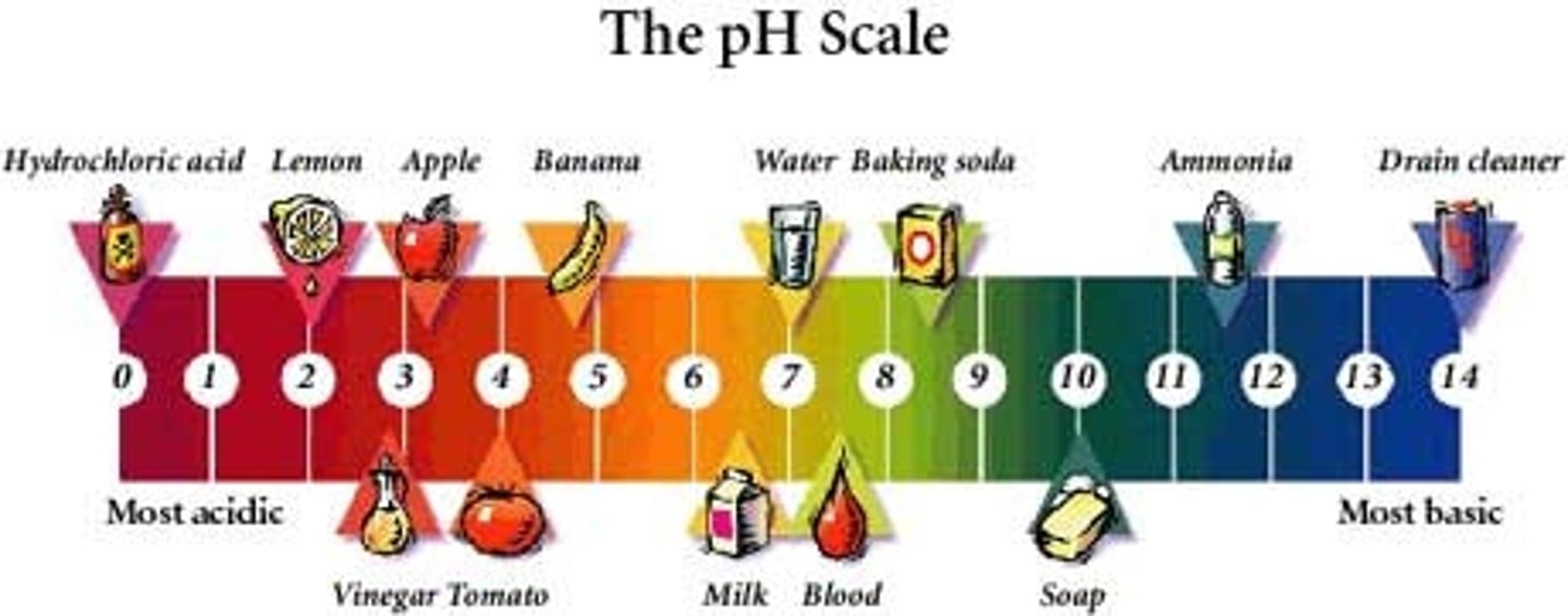 <p>a measure of the acidity of a solution, ranging in value from 0 (most acidic) to 14 (most basic). The letters pH stand for potential hydrogen and refer to the concentration of hydrogen ions (H+)</p>