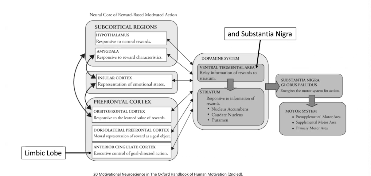 structures for motivated action 