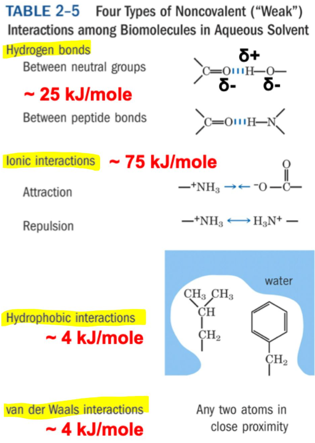 <p>Ionic interactions: <strong>~ 75 kJ/mol</strong> (strongest) <br>Hydrogen bonds: ~ <strong>25 kJ/mol</strong> <br>Hydrophobic interactions: <strong>~ 4 kJ/mol</strong> <br>van der Waals interactions: ~ <strong>4 kJ/mol</strong></p>
