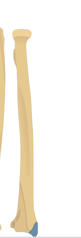 <p>What does this structure correspond with?</p>