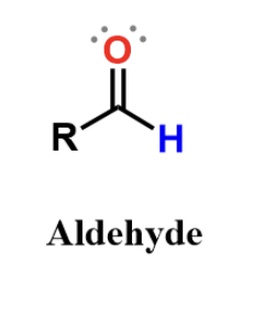 <p>carbonyl, polar and found in some sugars</p>