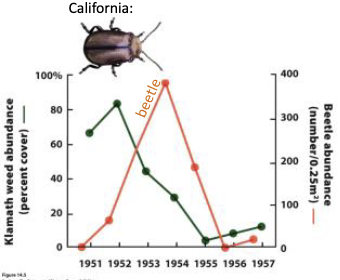 <p>Explain this graph. </p>