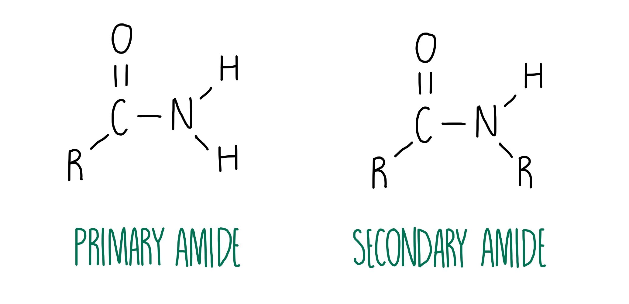 <ul><li><p>Primary amide - one carbon bonded to the amide nitrogen&nbsp;</p><ul><li><p>R' and R'' are both hydrogen atoms so one "ammonia" hydrogen has been substituted with the carbonyl group from the RCO portion of the molecule</p></li></ul></li><li><p>Secondary amide - two carbons bonded to the amide nitrogen (one MUST be the carbonyl carbon)</p></li><li><p>Tertiary amide - three carbons bonded to the amide nitrogen (one MUST be the carbonyl carbon)</p></li></ul><p></p>