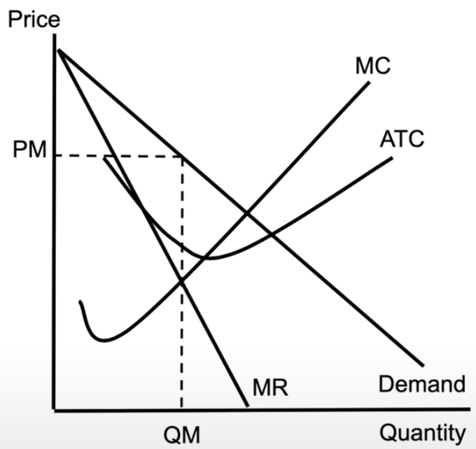 <ul><li><p>downward sloping demand curve</p></li><li><p>downward sloping marginal revenue curve</p></li><li><p>MC and ATC stay the same shape</p></li><li><p>still produce where MR = MC</p></li></ul><p></p>