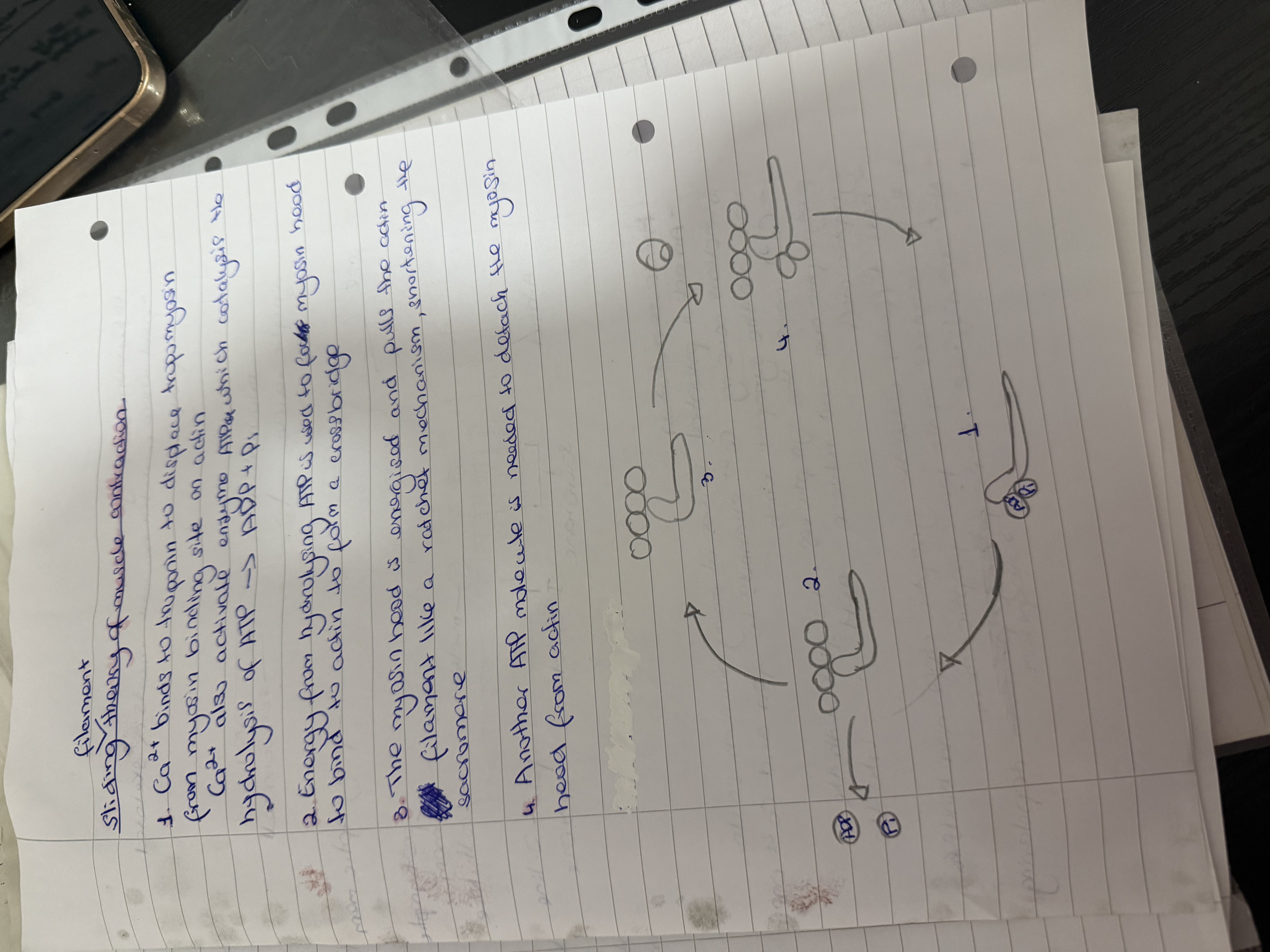 knowt flashcard image