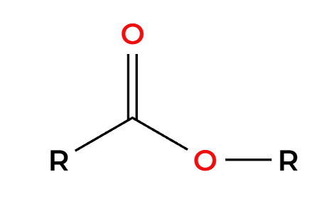 <ol><li><p>RMgBr</p></li><li><p>H2O</p></li></ol><p></p>
