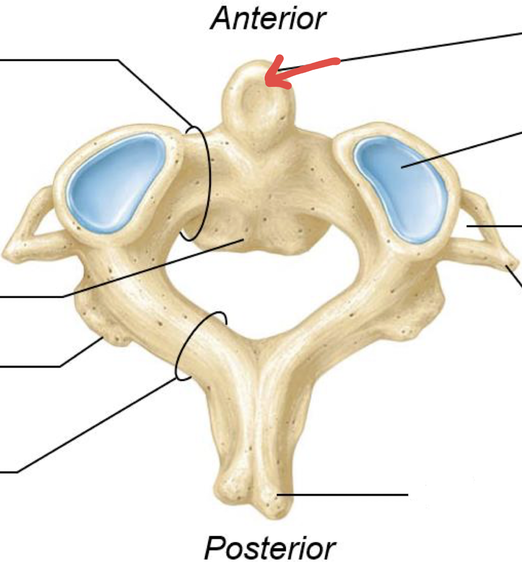 <p>what is this?</p>