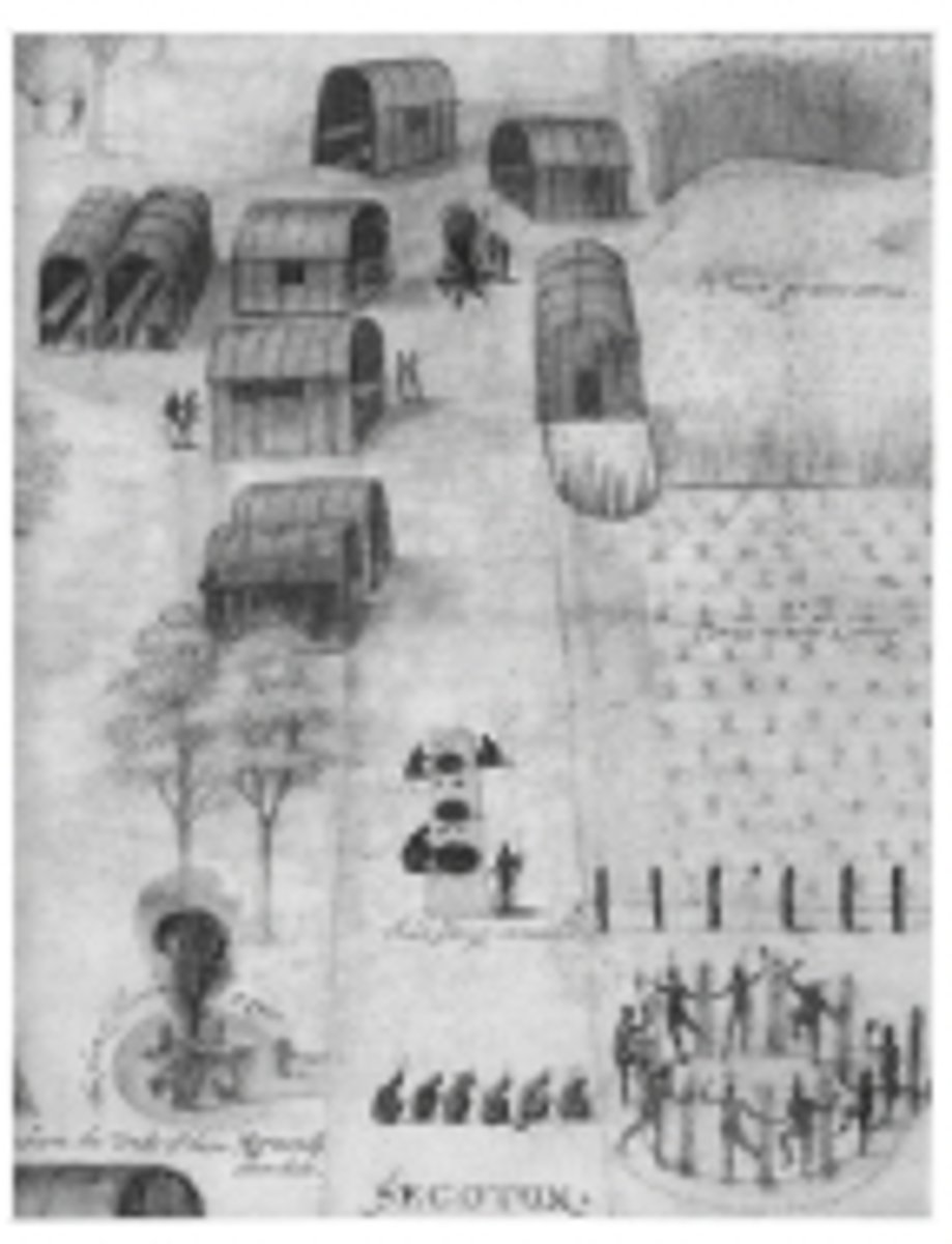 <p>The image best serves as evidence that many Native American groups had developed farming techniques that</p><p>A. Spread tobacco cultivation throughout the continent</p><p>B. Supported permanent villages</p><p>C. Allowed for continuous warfare</p><p>D. Differed dramatically from English agricultural practices</p>