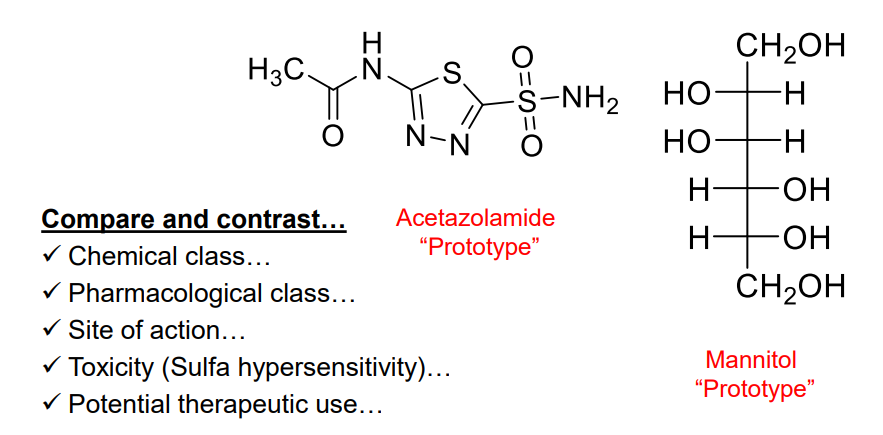 <p>Which of these is a Carbonic Anhydrase Inhibitor? </p>