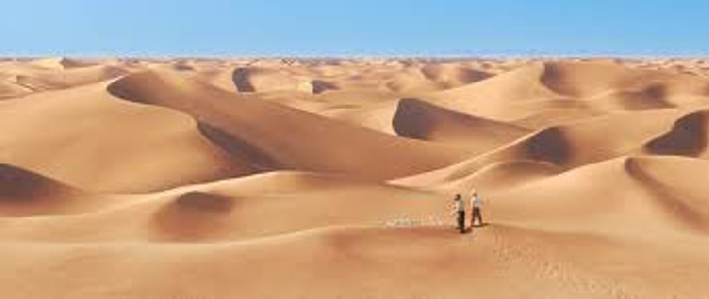 <p>the desert</p>