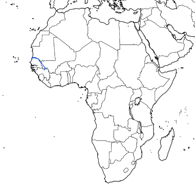 <p>What river is this?</p>