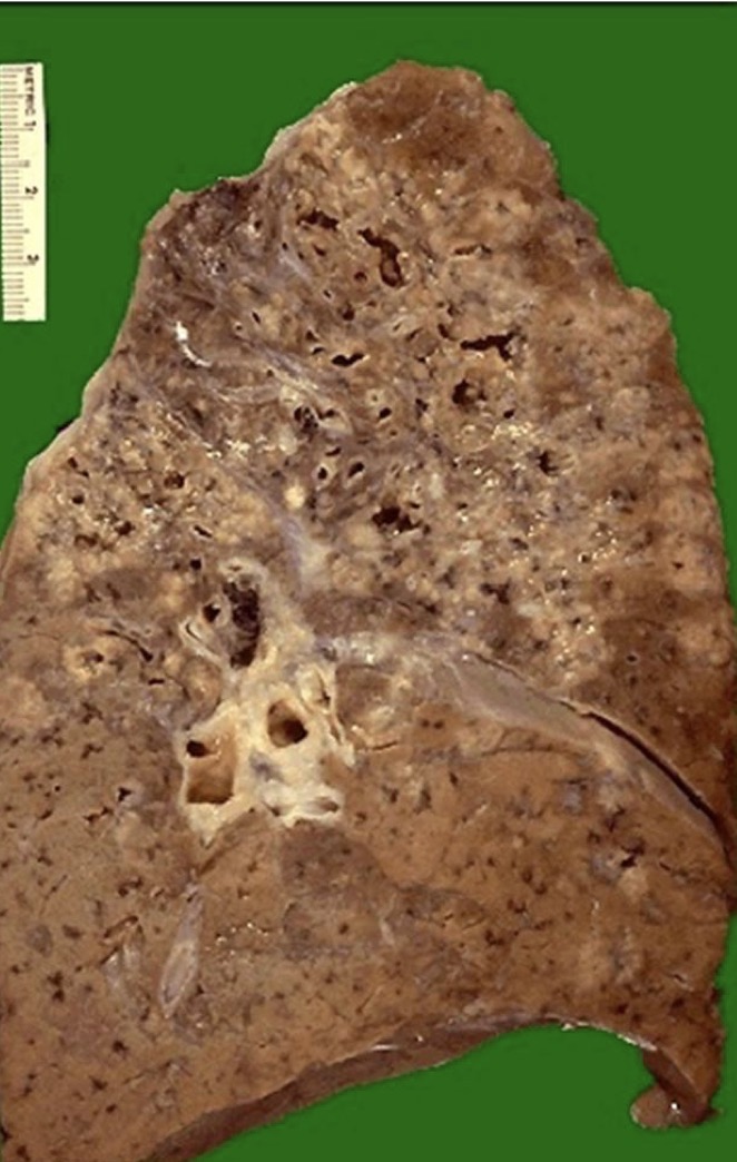 <p>A- identify</p><p>B- describe</p>