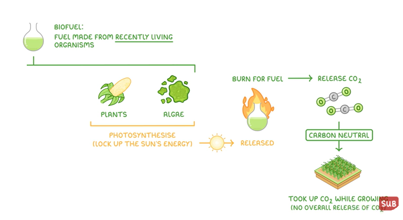 <p>fuel taken from recently living organsisms</p>