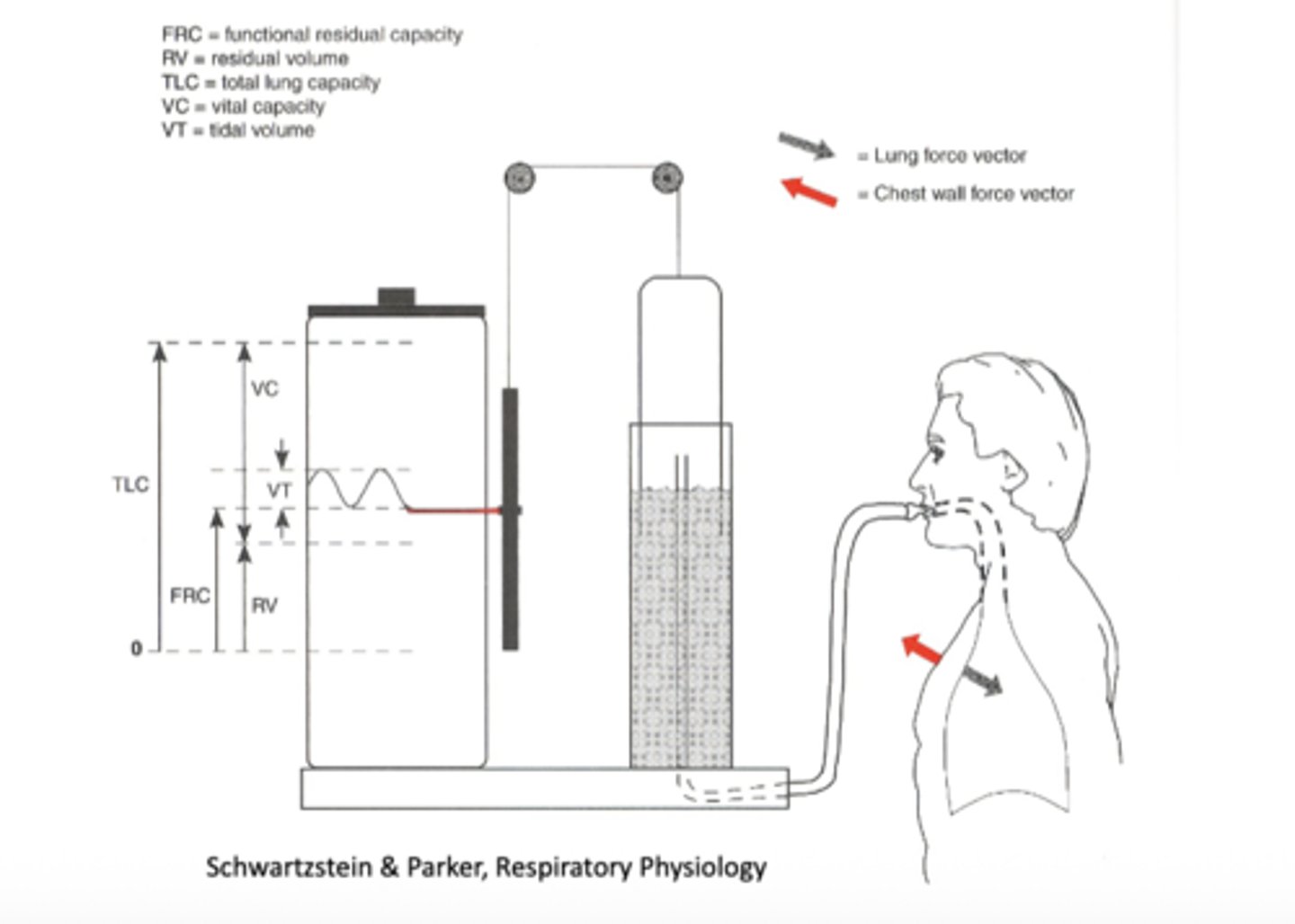 <p>the amount of air that remains in the lungs after a maximal exhalation</p>