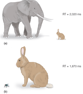 <p><span style="background-color: transparent; font-family: "Times New Roman", serif;"><span>You can imagine walking towards the rabbit/fly faster than the rabbit/elephant, because you’d have to walk further to see the elephant, </span><em><span>because of size and proportions, you imagine yourself closer to the rabbit and the fly. </span></em></span></p><p></p>