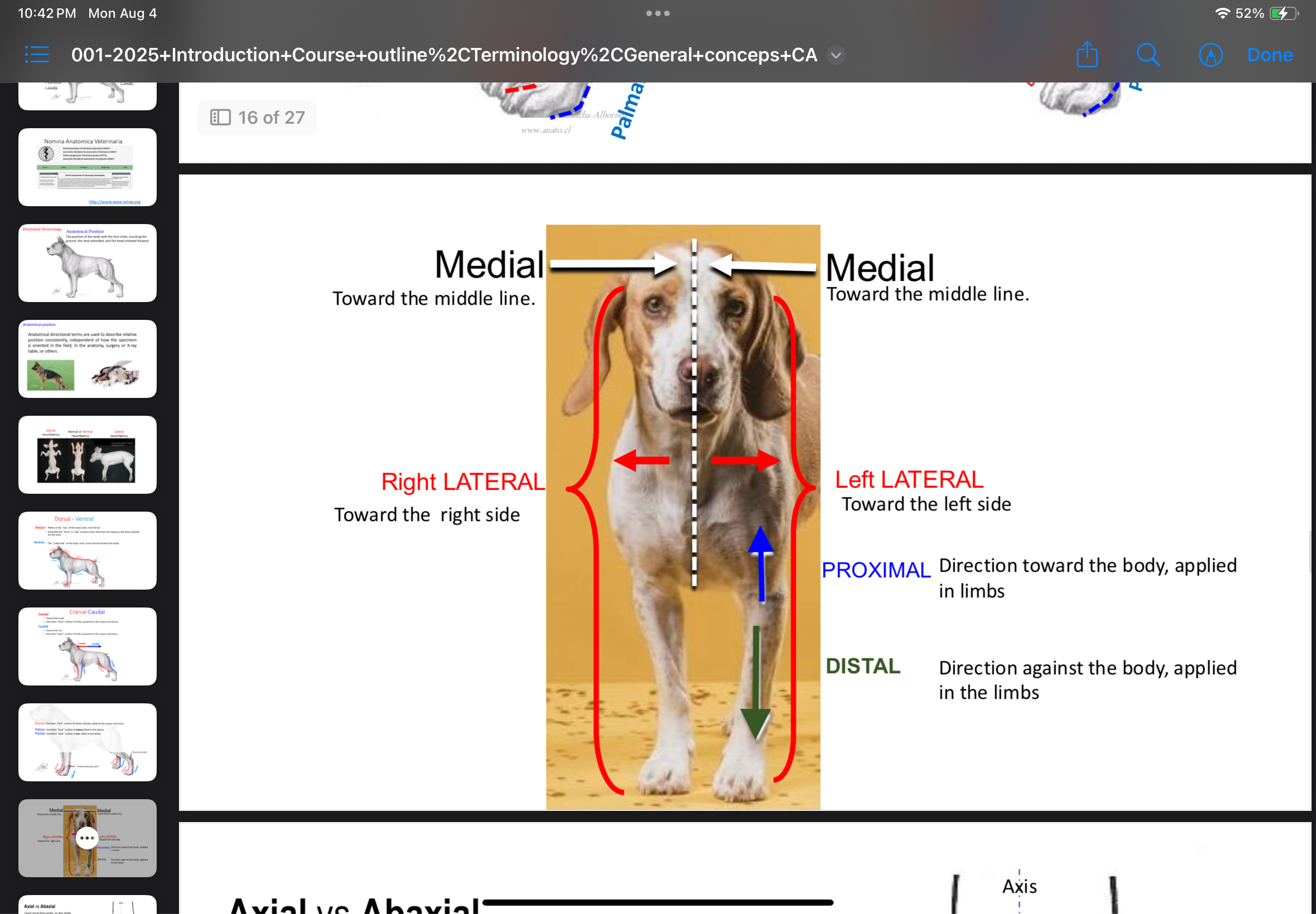 <p>Toward the midline of the body.</p>