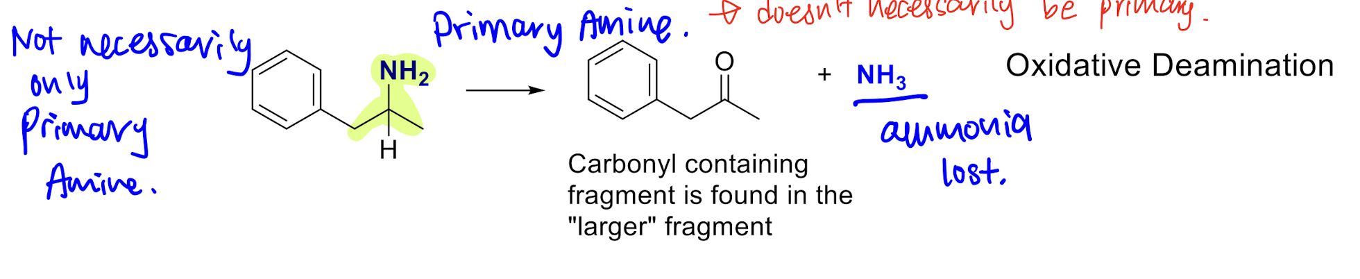Product: small amine + big aldehyde/carbonyl 

usually primary, but not necessarily

\
