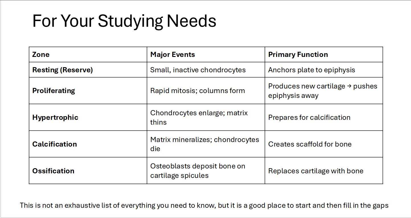 <p>For studying</p>
