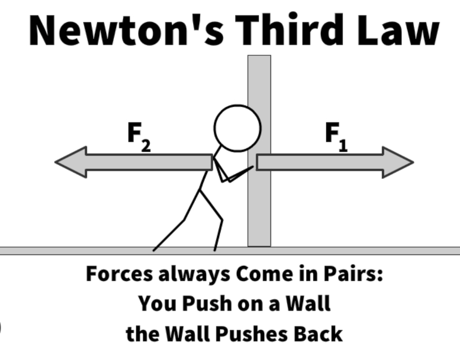 <p>for every force there is an equal and opposite reaction force </p>