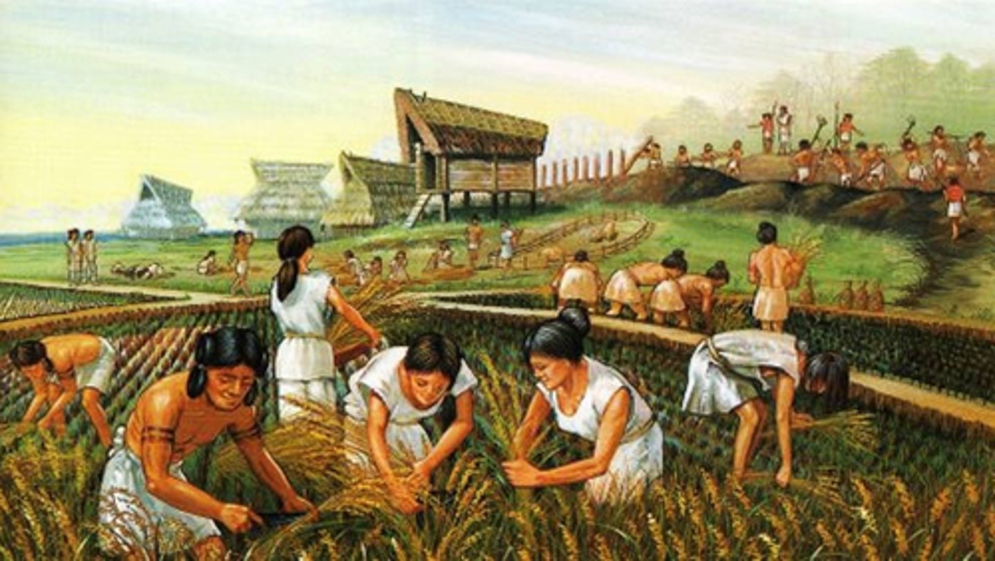 <p>hunting and gathering --> agriculture and settlement</p><p>eg: animal &amp; plant domestication</p><p>Fertile Crescent, Indus River Valley, Southeast Asia, Mesoamerica</p>