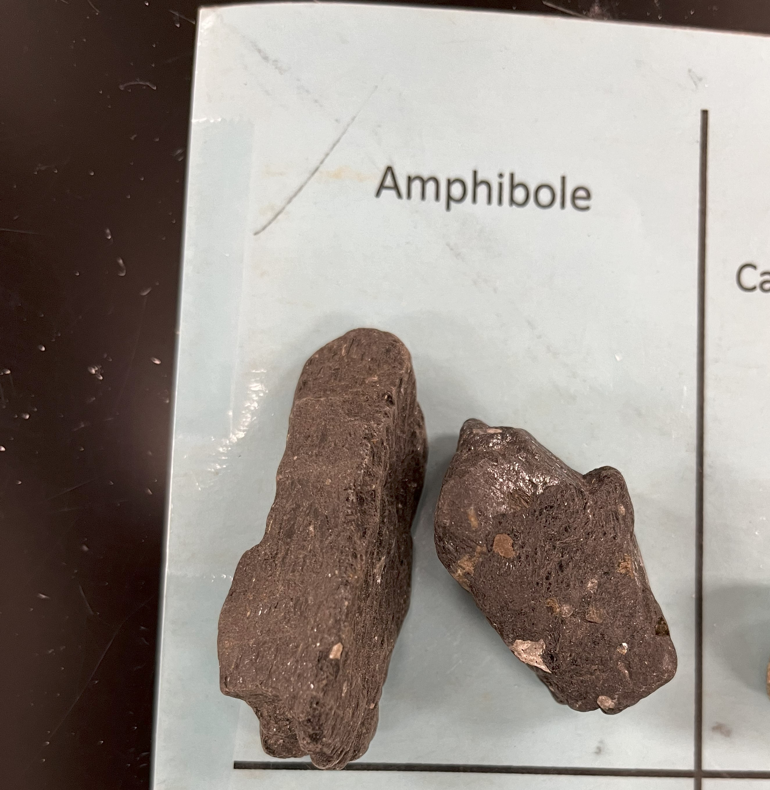 <p>Amphibole</p>