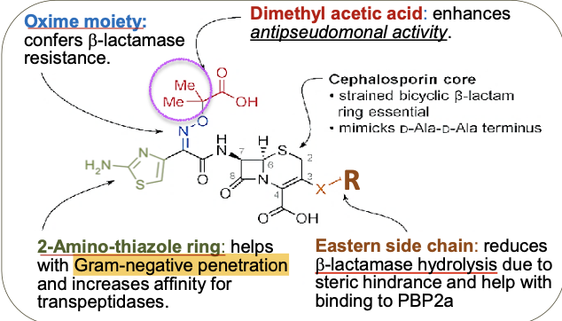 <p>Dimethyl acidic acid </p>