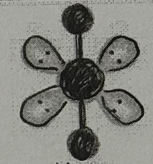 <p>Molecular Geometry?</p>