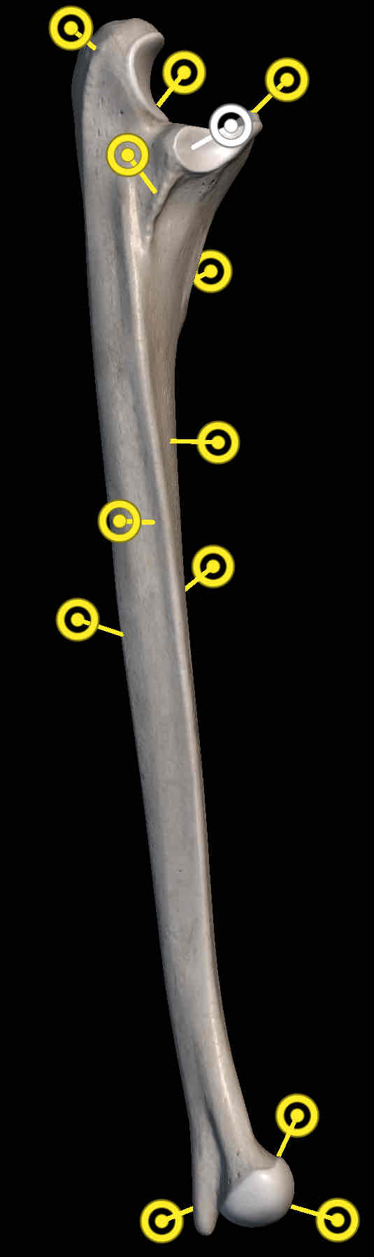 <p>Name the structure </p>
