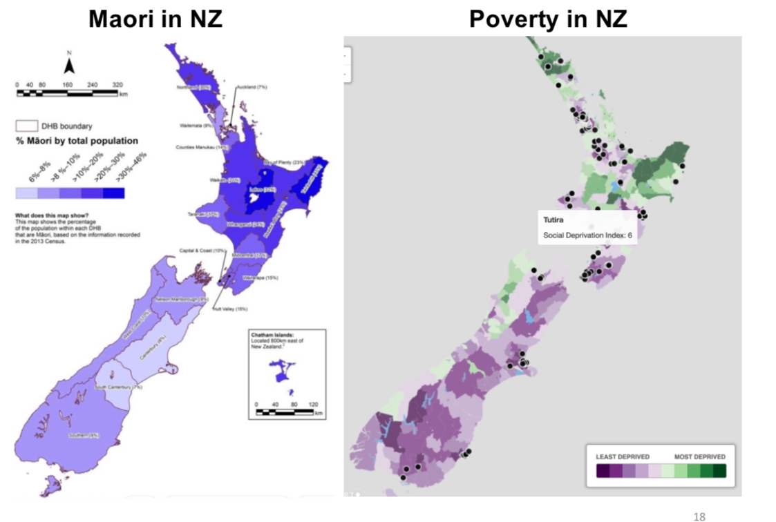<p>Clear relationship between Maori, poverty, and child abuse. Maori are overrepresented in child abuse stats because they are overrepresented in poverty stats. Same pattern applies for other countries.</p>